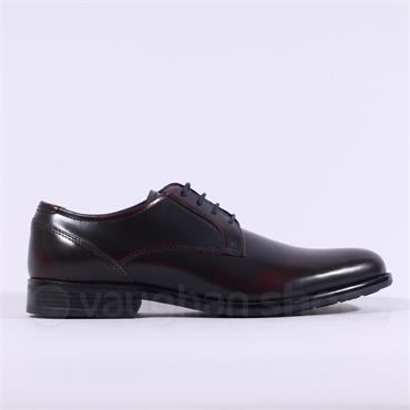 Dubarry Men Dasher Laced Dress Shoe - Burgundy